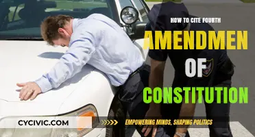 Citing the Fourth Amendment: A Quick Guide