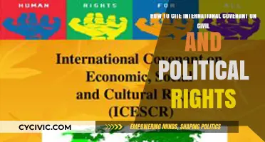 Citing the International Covenant on Civil and Political Rights: A Guide