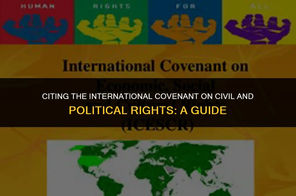 how to cite international covenant on civil and political rights