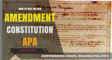 Citing the 8th Amendment: APA Style Guide