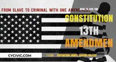 Citing the Constitution: 13th Amendment