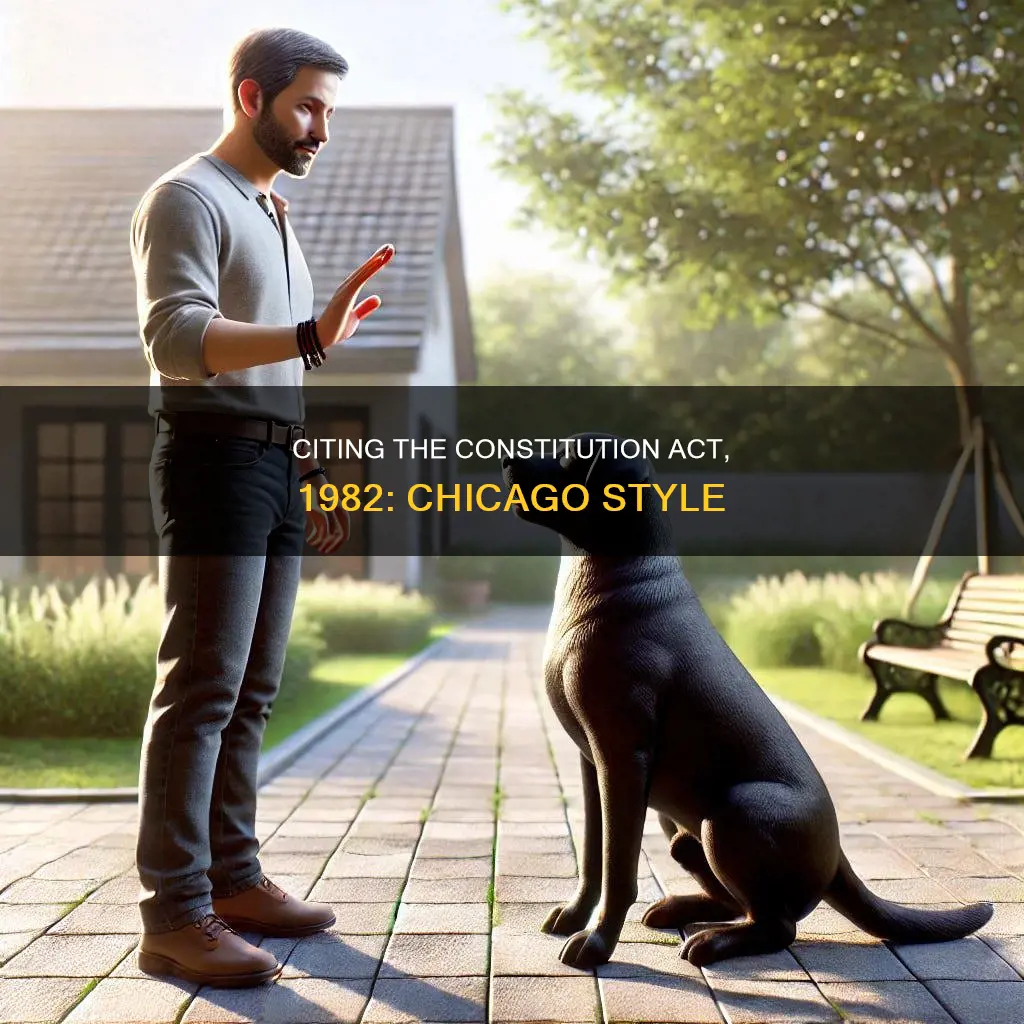 how to cite the constitution act 1982 chicago