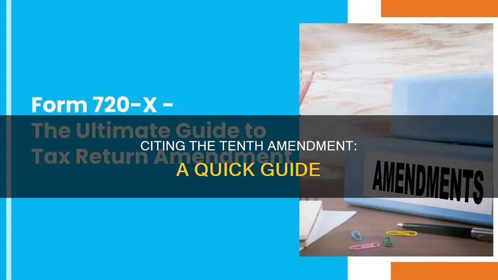 how to cite the constitution amendment 10