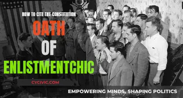 Citing the Constitution: Oath of Enlistment in Chicago