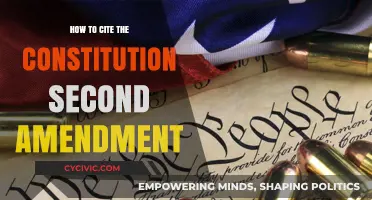 Citing the Second Amendment: A Quick Guide
