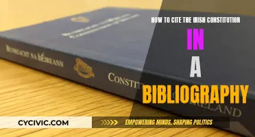 Citing the Irish Constitution: A Quick Bibliography Guide