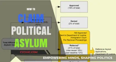 Seeking Safety: A Comprehensive Guide to Claiming Political Asylum