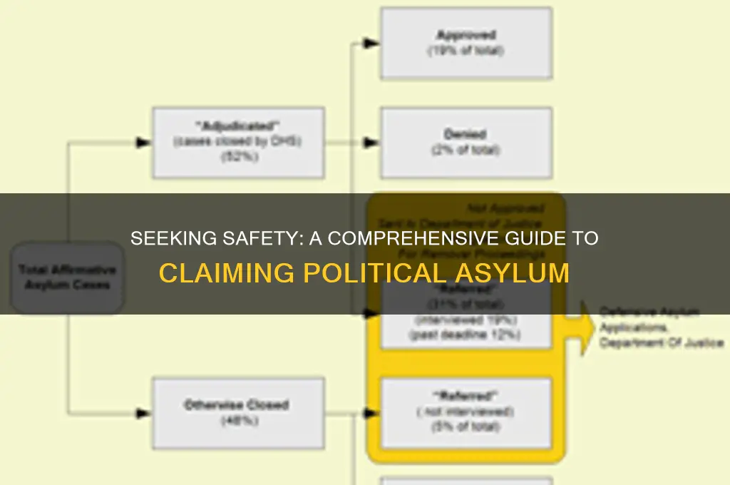 how to claim political asylum