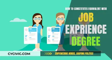 Experience vs Education: When Work Trumps Study