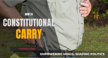 Constitutional Carry: Understanding Your Right to Bear Arms