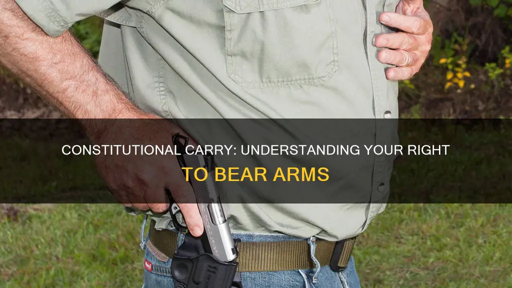 how to constitutional carry