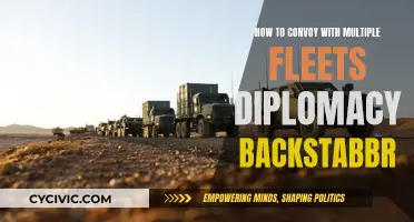 Mastering the Art of Multiple Fleet Convoy Diplomacy