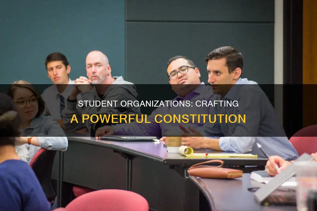 how to create a constitution for a student organization