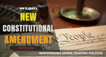 Crafting Constitutional Amendments: A Step-by-Step Guide