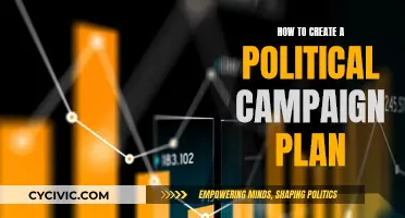 Crafting a Political Campaign: A Guide to Strategic Planning