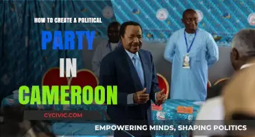 A Step-by-Step Guide to Forming a Political Party in Cameroon