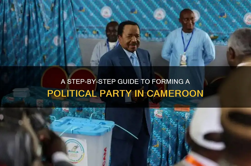 how to create a political party in cameroon