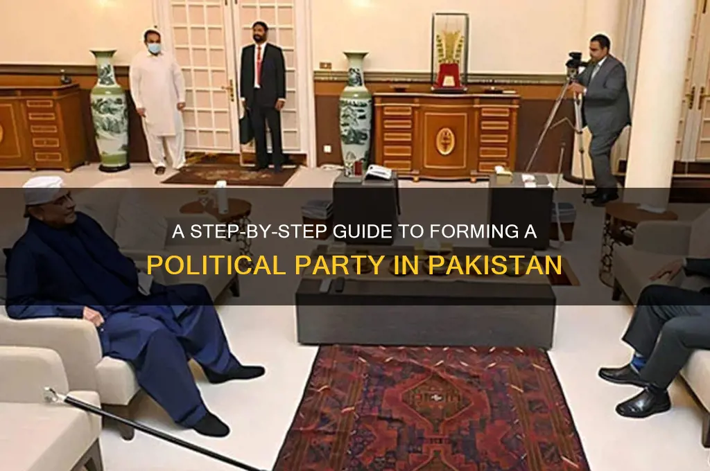 how to create a political party in pakistan
