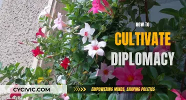 Cultivating Diplomacy: A Guide to Mastering the Art