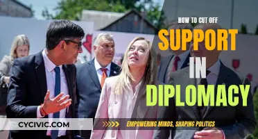 Severing Support: Strategies for Diplomatic Success