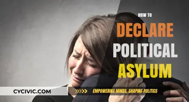 Seeking Safety: A Comprehensive Guide to Declaring Political Asylum