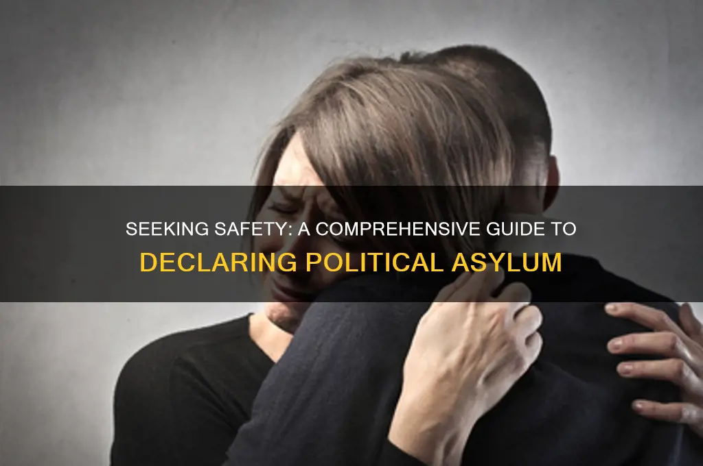 how to declare political asylum