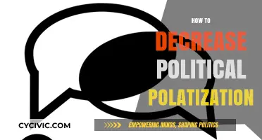 Bridging Divides: Practical Strategies to Reduce Political Polarization