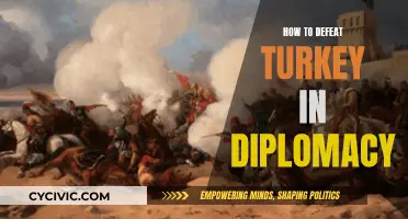 Strategies to Outmaneuver Turkey in a Diplomacy Game