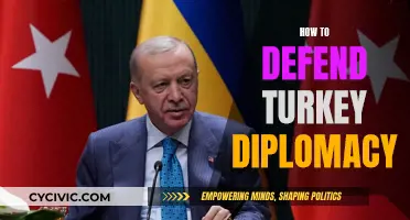 Turkey's Diplomacy: Strategies for a Strong Defense
