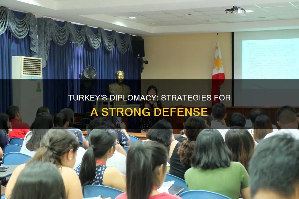 how to defend turkey diplomacy