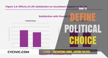 Understanding Political Choice: Key Factors Shaping Decisions and Preferences