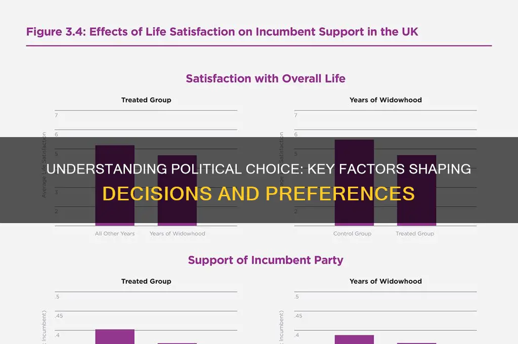 how to define political choice