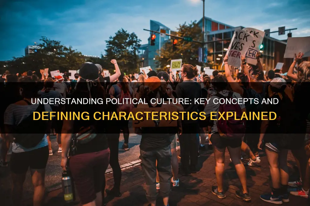 how to define political culture