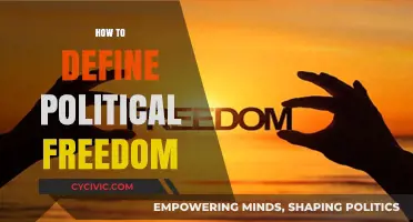 Understanding Political Freedom: Defining Its Core Principles and Boundaries
