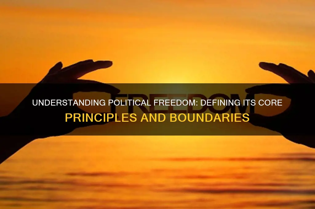 how to define political freedom