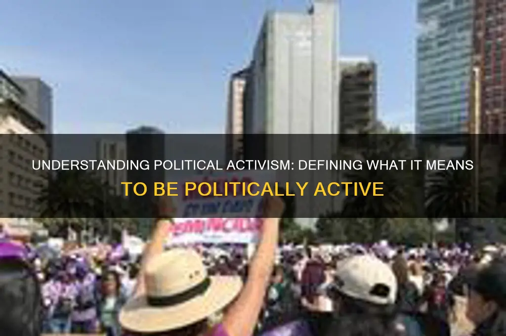 how to define politically active