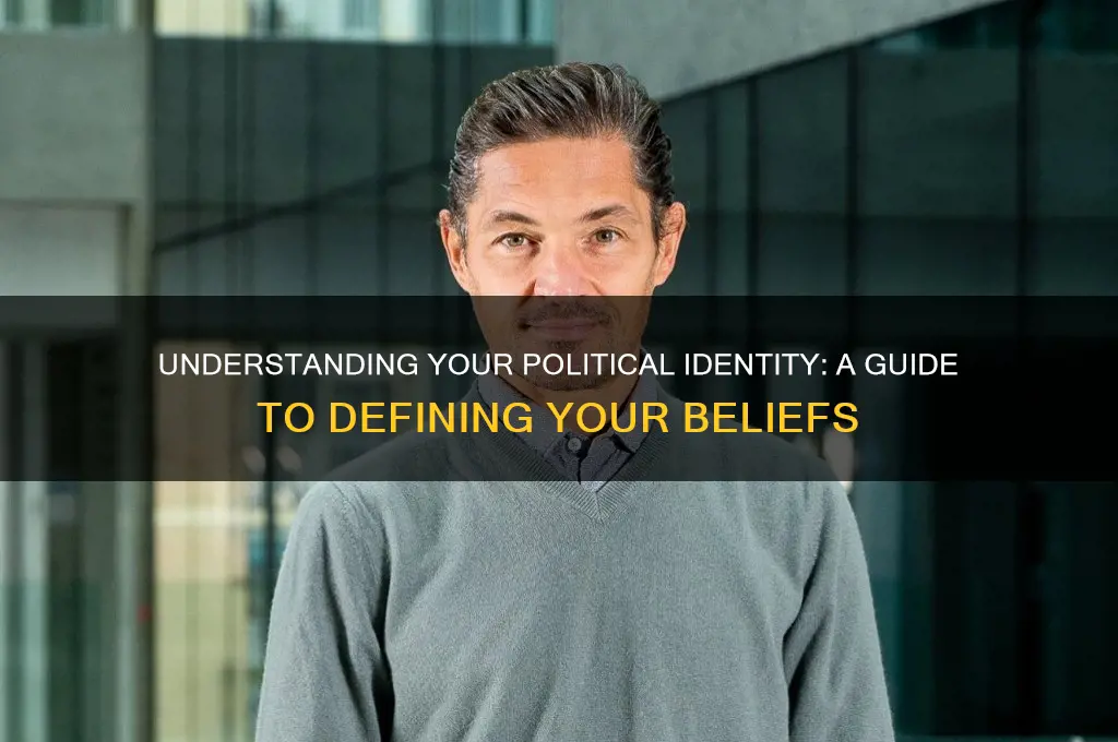 how to define yourself politically