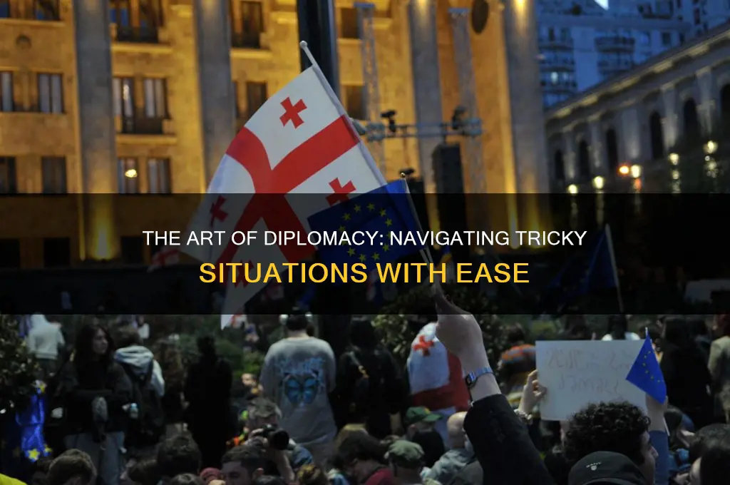 how to demonstrate diplomacy