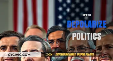 Bridging Divides: Practical Strategies to Depolarize Politics and Foster Unity