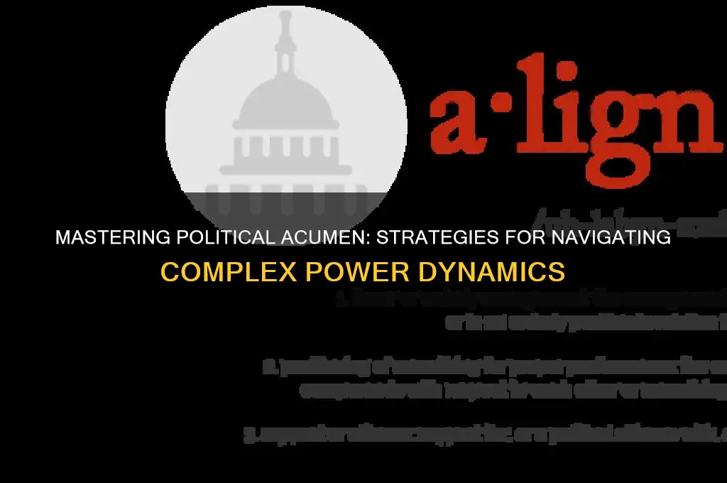 how to describe political acumen