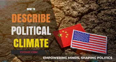 Understanding the Political Climate: Key Factors and Descriptive Insights