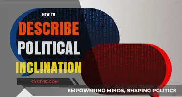 Understanding Political Inclination: A Guide to Describing Your Beliefs and Values