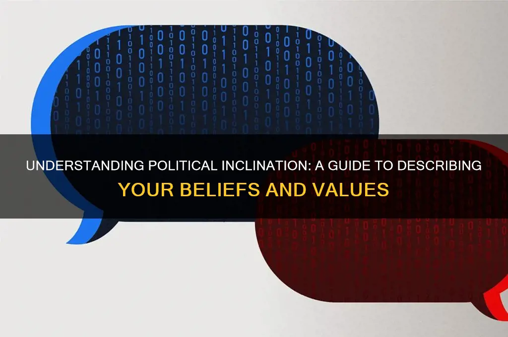 how to describe political inclination