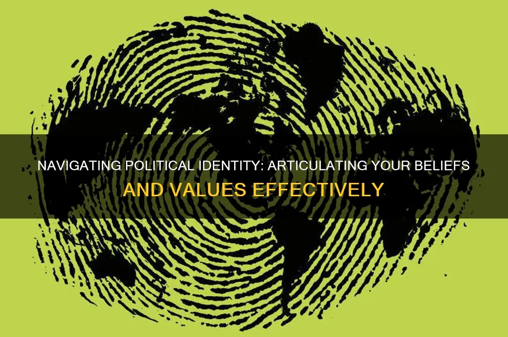 how to describe yourself politically