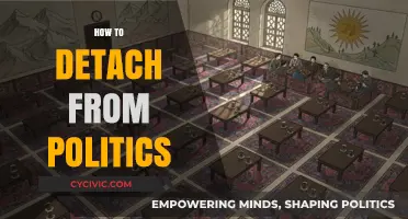 Reclaim Your Peace: A Guide to Detaching from Political Chaos