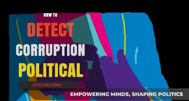 Unveiling Political Corruption: Effective Strategies for Detection and Prevention