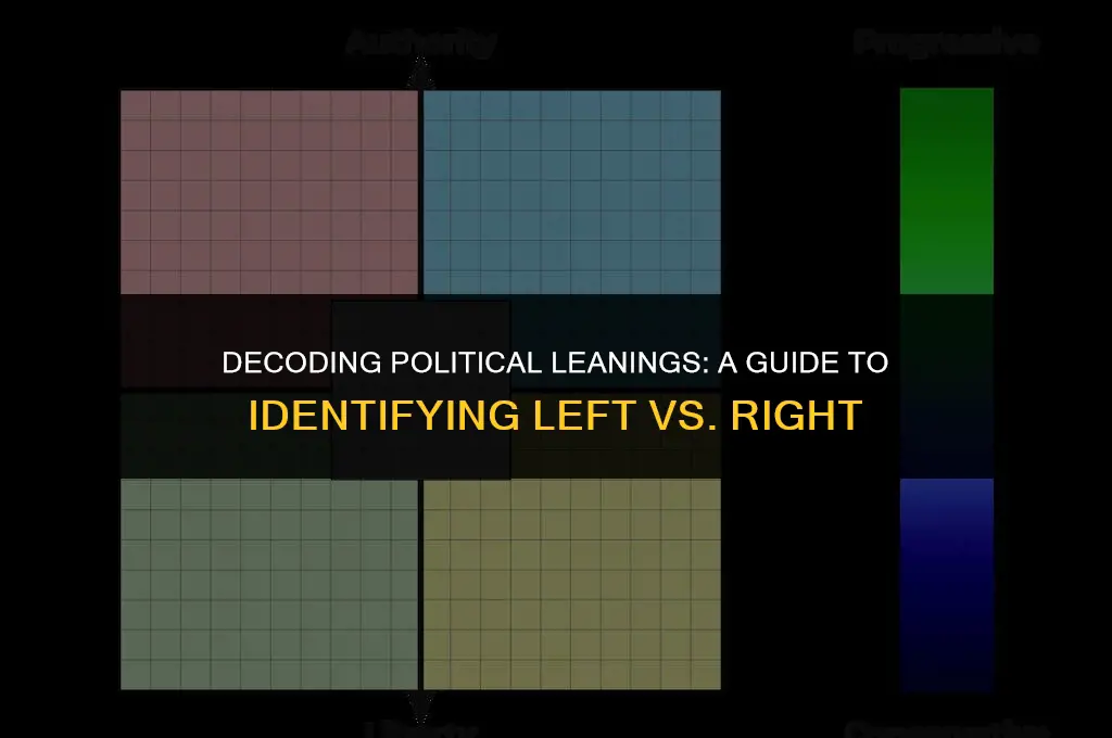 how to determine if someone is left or right politically