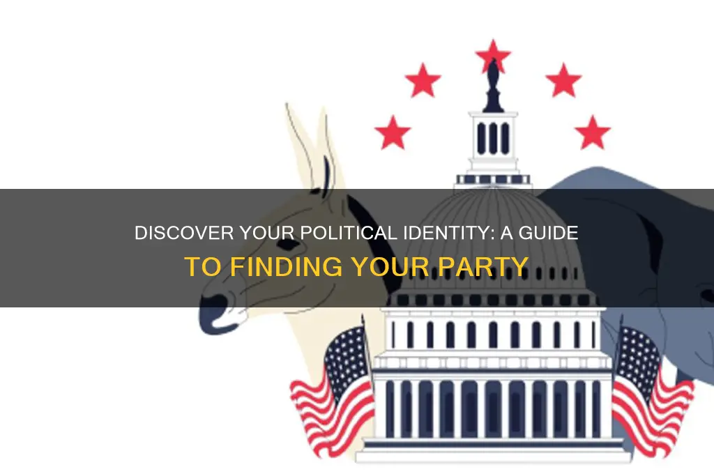 how to determine what political party i am