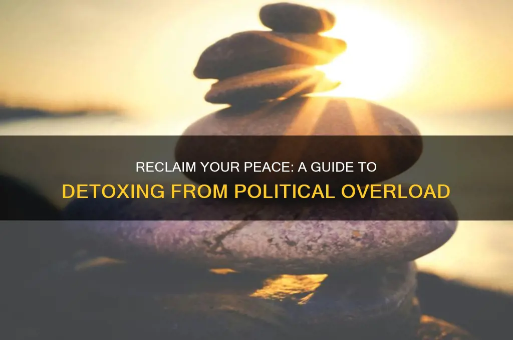 how to detox from politics