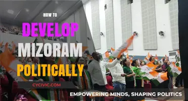 Strengthening Mizoram's Political Landscape: Strategies for Growth and Development